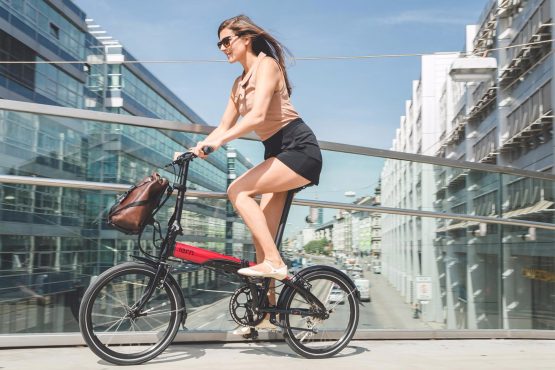 Tern Link D8 20" - Imagen 6