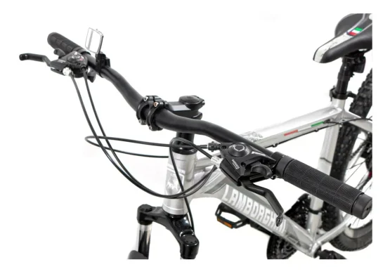 Lamborghini MTB 29" - Imagen 3