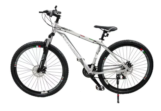 Lamborghini MTB 29" - Imagen 5