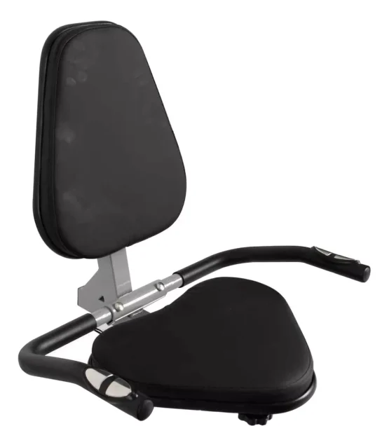 Athetic recumbent 230BH - Imagen 4