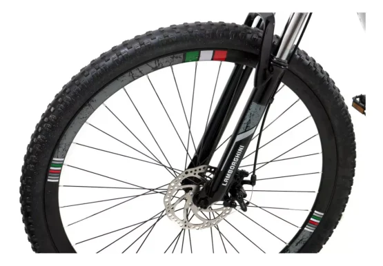Lamborghini MTB 29" - Imagen 4